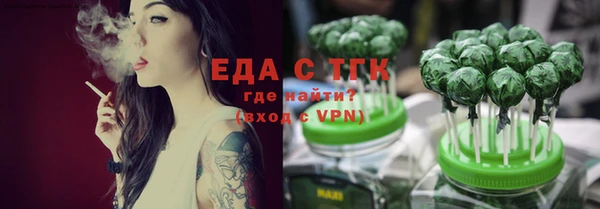 шишки Тайга