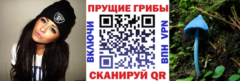 Галлюциногенные грибы Magic Shrooms  купить   Буинск 